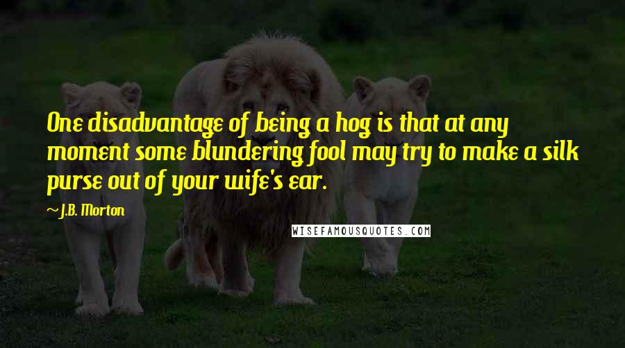 J.B. Morton Quotes: One disadvantage of being a hog is that at any moment some blundering fool may try to make a silk purse out of your wife's ear.