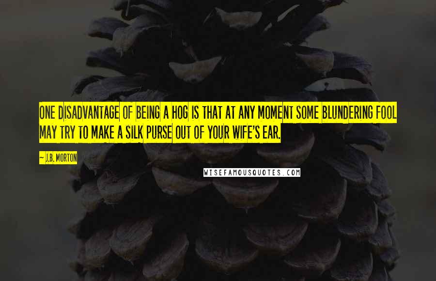 J.B. Morton Quotes: One disadvantage of being a hog is that at any moment some blundering fool may try to make a silk purse out of your wife's ear.