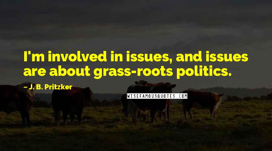 J. B. Pritzker Quotes: I'm involved in issues, and issues are about grass-roots politics.