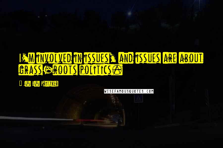J. B. Pritzker Quotes: I'm involved in issues, and issues are about grass-roots politics.