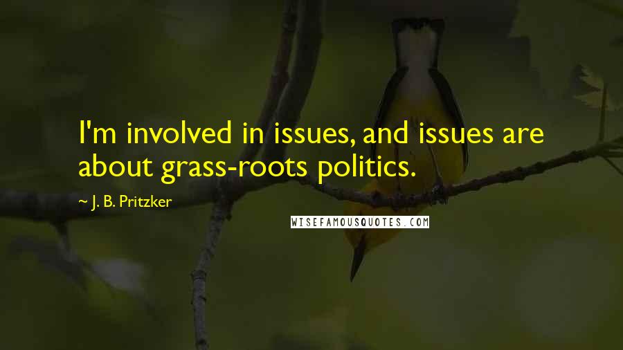 J. B. Pritzker Quotes: I'm involved in issues, and issues are about grass-roots politics.
