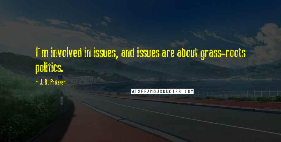 J. B. Pritzker Quotes: I'm involved in issues, and issues are about grass-roots politics.