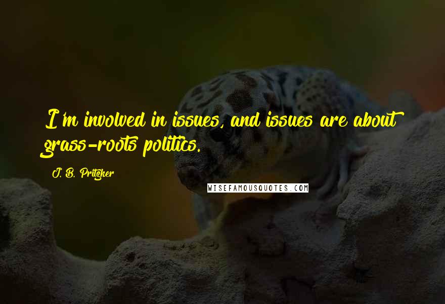 J. B. Pritzker Quotes: I'm involved in issues, and issues are about grass-roots politics.