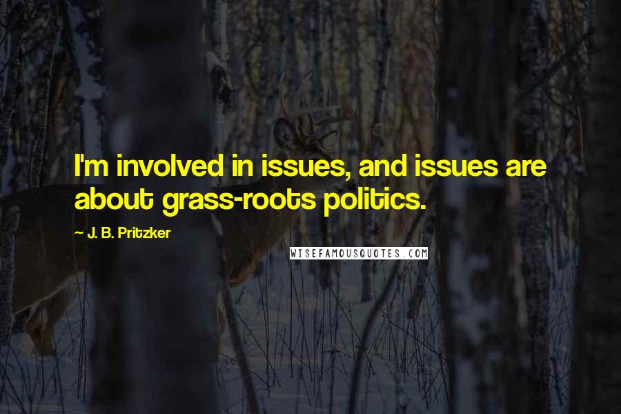 J. B. Pritzker Quotes: I'm involved in issues, and issues are about grass-roots politics.
