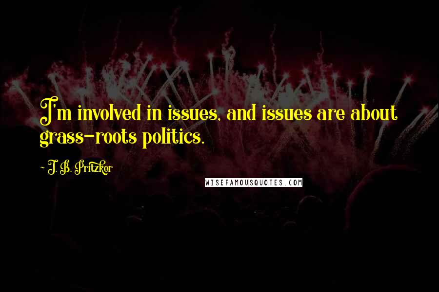 J. B. Pritzker Quotes: I'm involved in issues, and issues are about grass-roots politics.