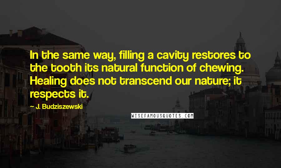 J. Budziszewski Quotes: In the same way, filling a cavity restores to the tooth its natural function of chewing. Healing does not transcend our nature; it respects it.