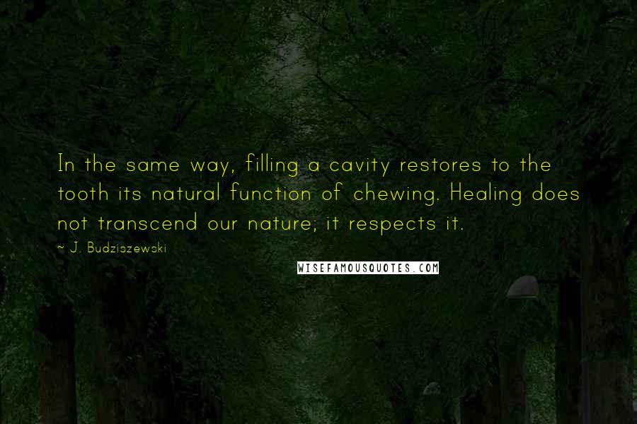 J. Budziszewski Quotes: In the same way, filling a cavity restores to the tooth its natural function of chewing. Healing does not transcend our nature; it respects it.