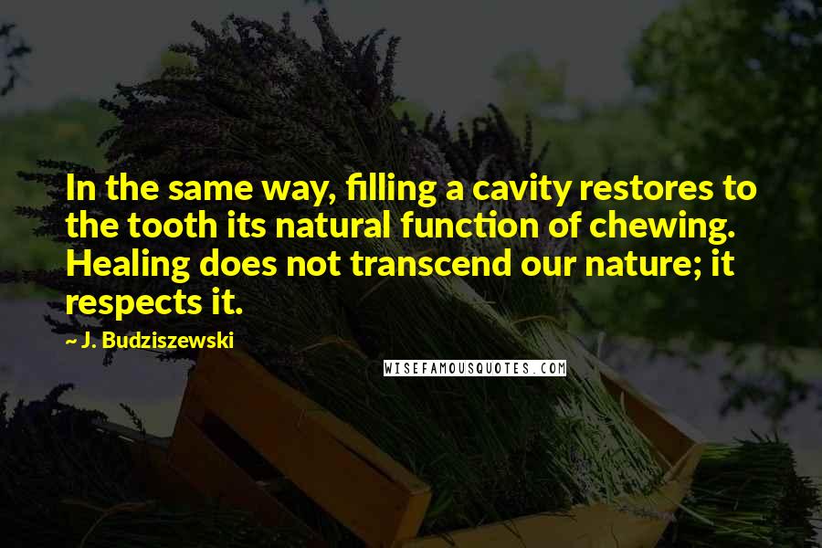 J. Budziszewski Quotes: In the same way, filling a cavity restores to the tooth its natural function of chewing. Healing does not transcend our nature; it respects it.