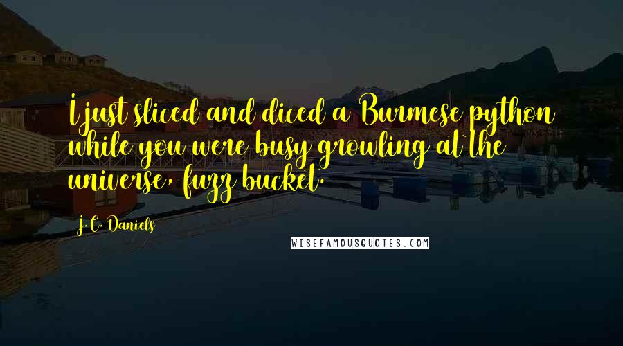 J.C. Daniels Quotes: I just sliced and diced a Burmese python while you were busy growling at the universe, fuzz bucket.