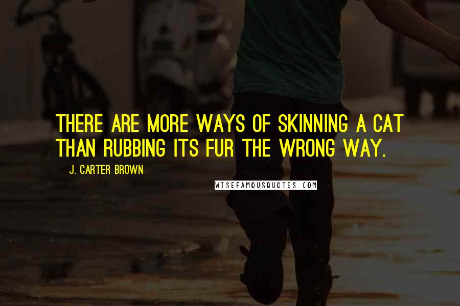 J. Carter Brown Quotes: There are more ways of skinning a cat than rubbing its fur the wrong way.