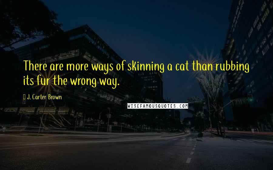J. Carter Brown Quotes: There are more ways of skinning a cat than rubbing its fur the wrong way.
