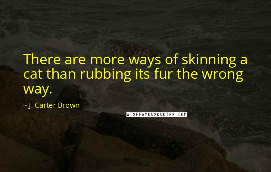 J. Carter Brown Quotes: There are more ways of skinning a cat than rubbing its fur the wrong way.