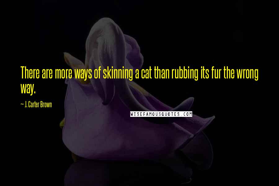 J. Carter Brown Quotes: There are more ways of skinning a cat than rubbing its fur the wrong way.