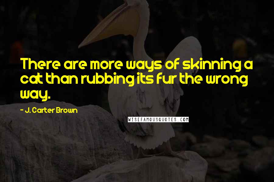J. Carter Brown Quotes: There are more ways of skinning a cat than rubbing its fur the wrong way.