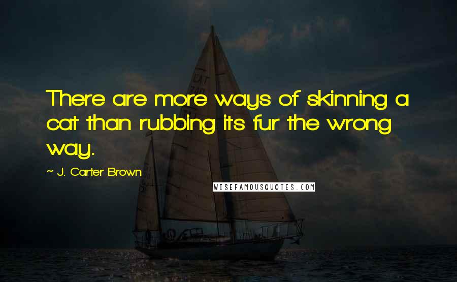J. Carter Brown Quotes: There are more ways of skinning a cat than rubbing its fur the wrong way.
