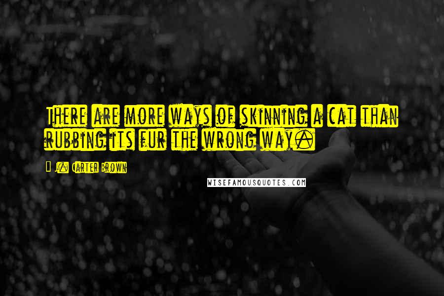 J. Carter Brown Quotes: There are more ways of skinning a cat than rubbing its fur the wrong way.