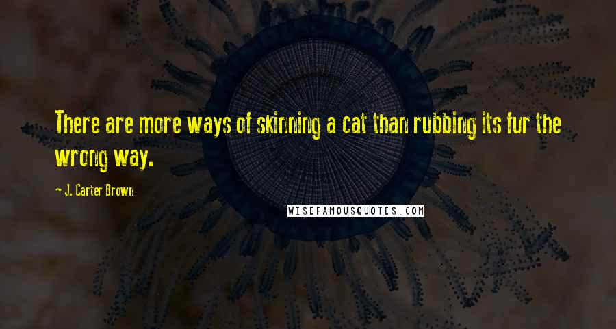 J. Carter Brown Quotes: There are more ways of skinning a cat than rubbing its fur the wrong way.