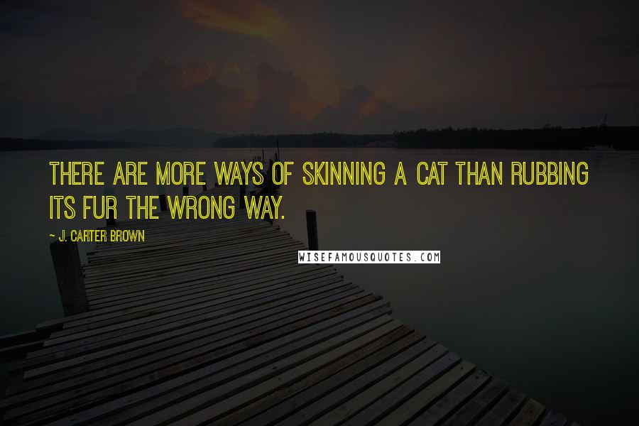J. Carter Brown Quotes: There are more ways of skinning a cat than rubbing its fur the wrong way.