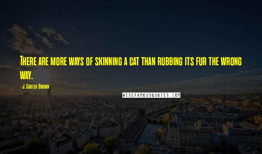 J. Carter Brown Quotes: There are more ways of skinning a cat than rubbing its fur the wrong way.
