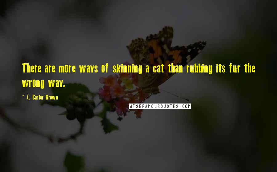 J. Carter Brown Quotes: There are more ways of skinning a cat than rubbing its fur the wrong way.