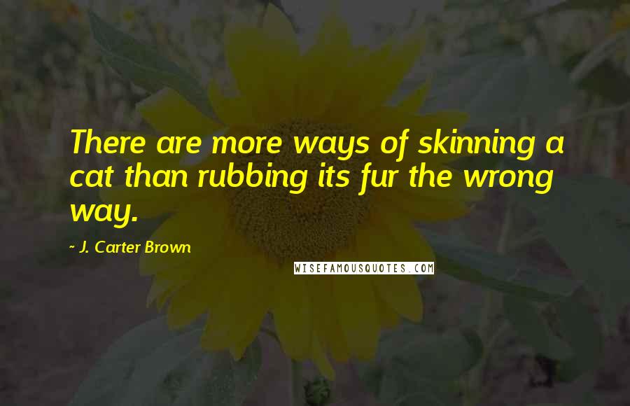 J. Carter Brown Quotes: There are more ways of skinning a cat than rubbing its fur the wrong way.