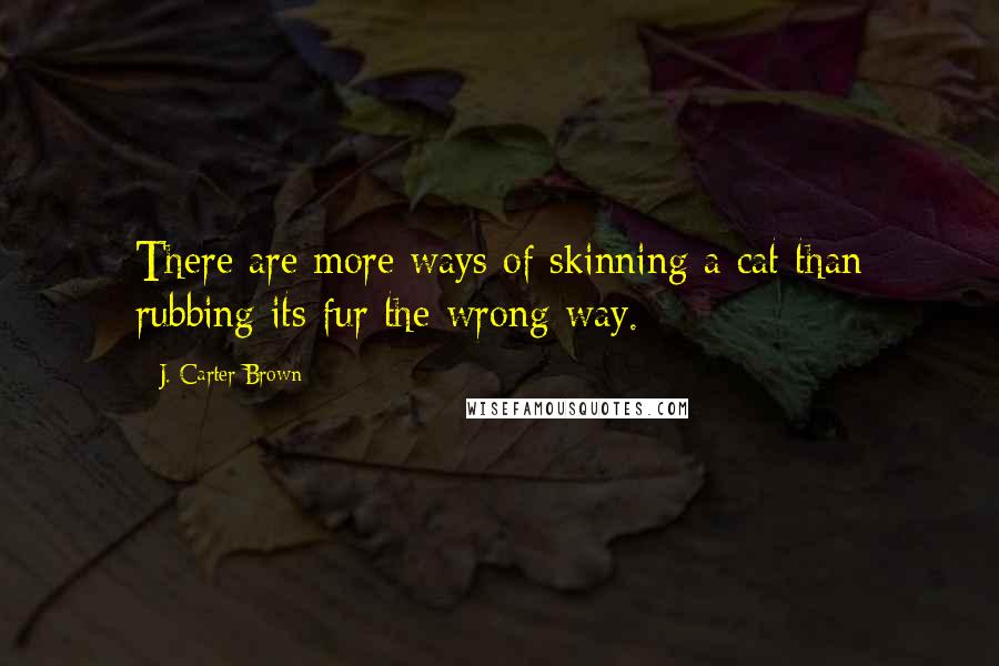 J. Carter Brown Quotes: There are more ways of skinning a cat than rubbing its fur the wrong way.