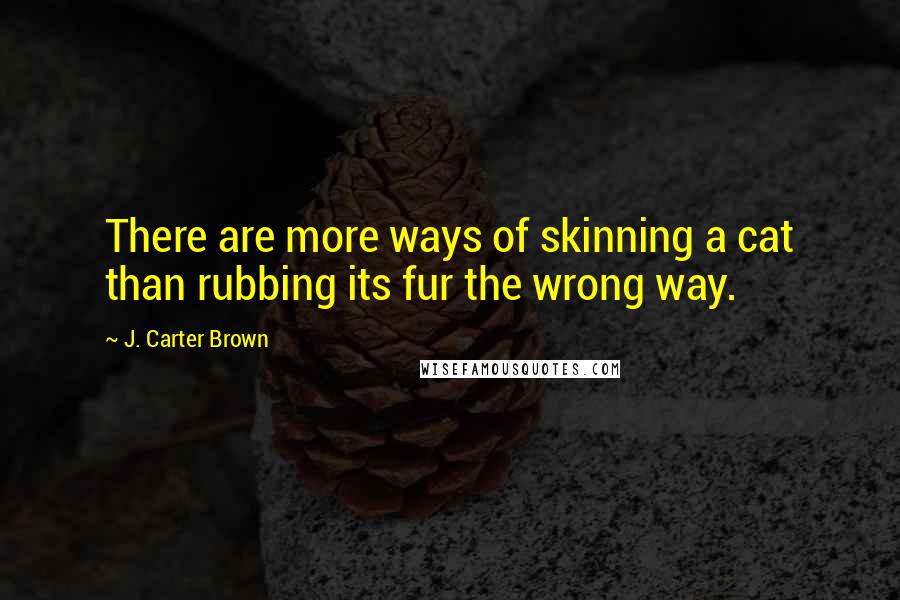 J. Carter Brown Quotes: There are more ways of skinning a cat than rubbing its fur the wrong way.