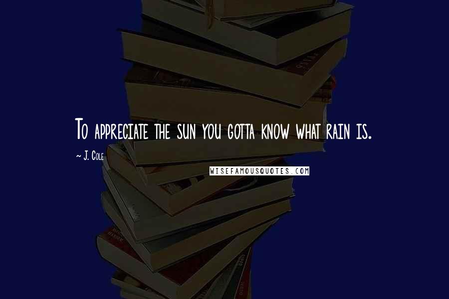 J. Cole Quotes: To appreciate the sun you gotta know what rain is.