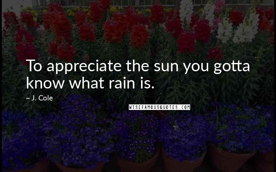 J. Cole Quotes: To appreciate the sun you gotta know what rain is.