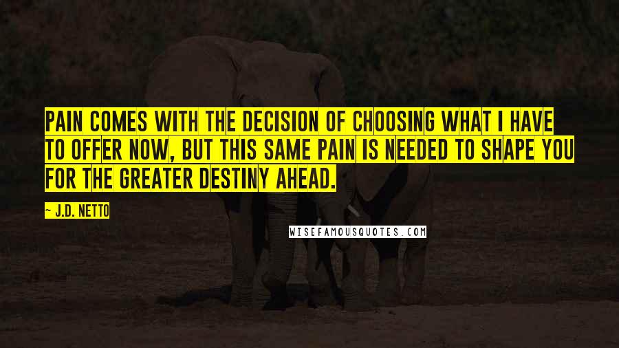 J.D. Netto Quotes: Pain comes with the decision of choosing what I have to offer now, but this same pain is needed to shape you for the greater destiny ahead.