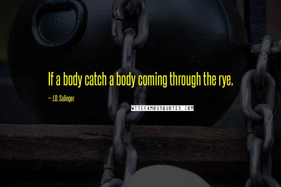 J.D. Salinger Quotes: If a body catch a body coming through the rye.