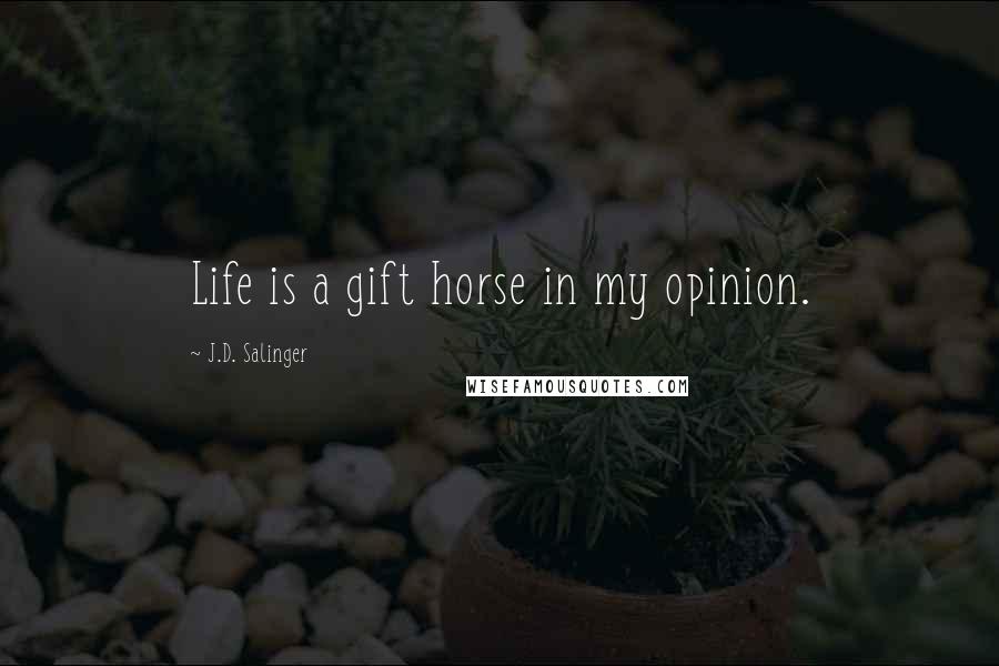 J.D. Salinger Quotes: Life is a gift horse in my opinion.