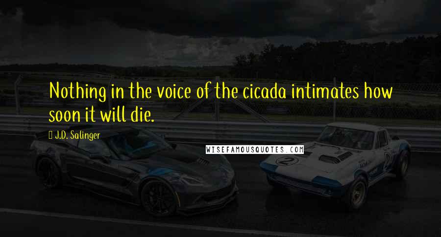 J.D. Salinger Quotes: Nothing in the voice of the cicada intimates how soon it will die.