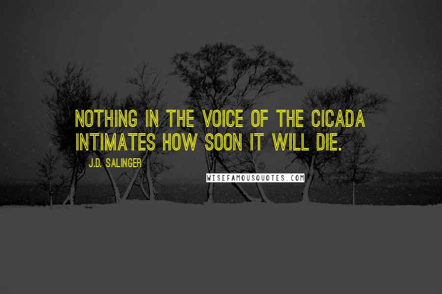 J.D. Salinger Quotes: Nothing in the voice of the cicada intimates how soon it will die.