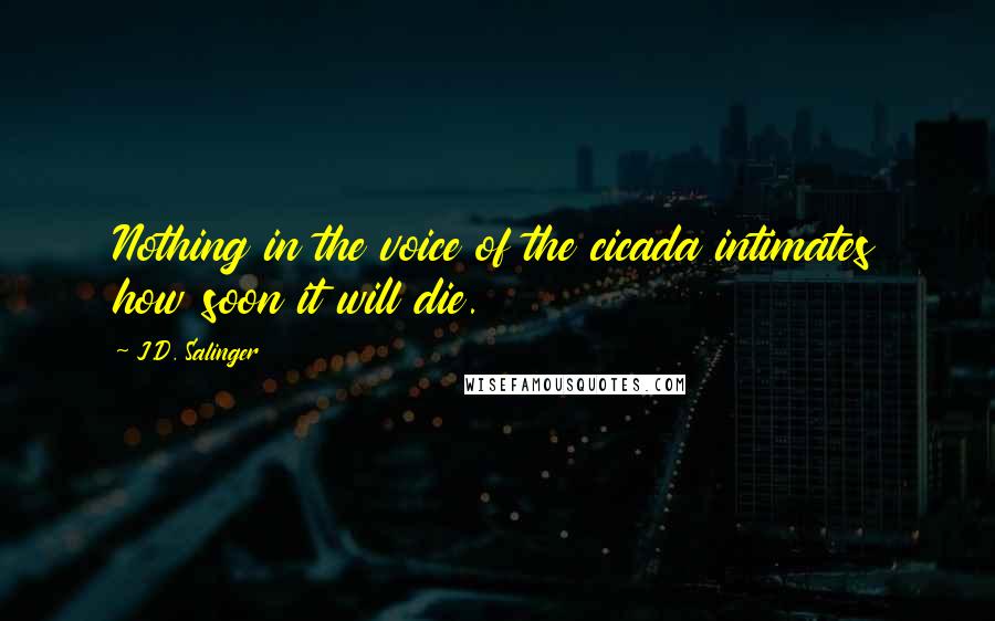 J.D. Salinger Quotes: Nothing in the voice of the cicada intimates how soon it will die.