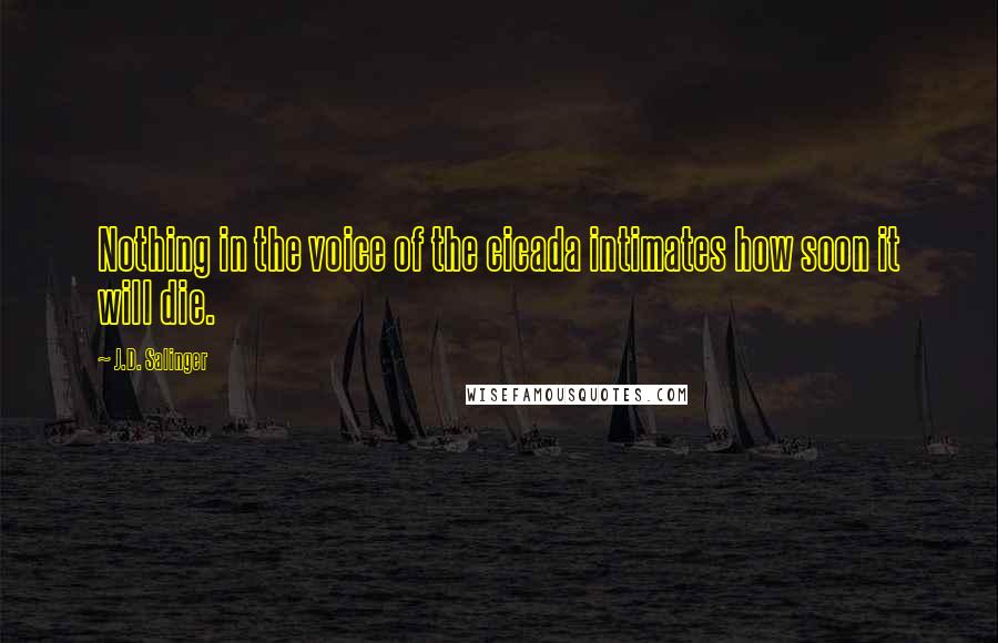 J.D. Salinger Quotes: Nothing in the voice of the cicada intimates how soon it will die.