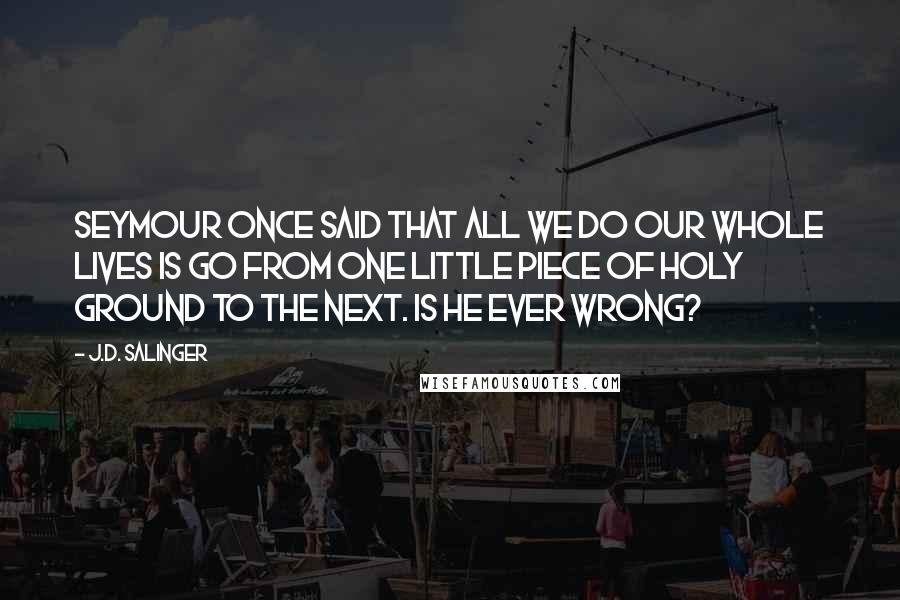 J.D. Salinger Quotes: Seymour once said that all we do our whole lives is go from one little piece of Holy Ground to the next. Is he ever wrong?