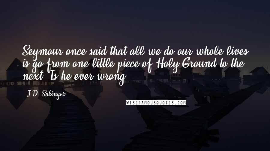 J.D. Salinger Quotes: Seymour once said that all we do our whole lives is go from one little piece of Holy Ground to the next. Is he ever wrong?