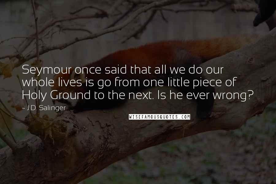 J.D. Salinger Quotes: Seymour once said that all we do our whole lives is go from one little piece of Holy Ground to the next. Is he ever wrong?