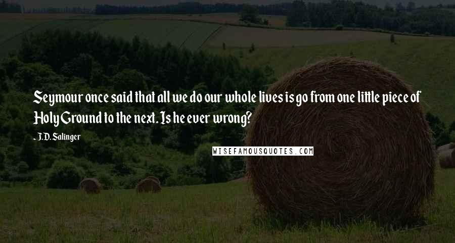 J.D. Salinger Quotes: Seymour once said that all we do our whole lives is go from one little piece of Holy Ground to the next. Is he ever wrong?