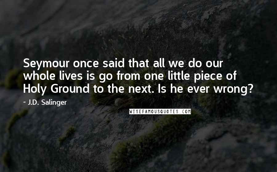 J.D. Salinger Quotes: Seymour once said that all we do our whole lives is go from one little piece of Holy Ground to the next. Is he ever wrong?