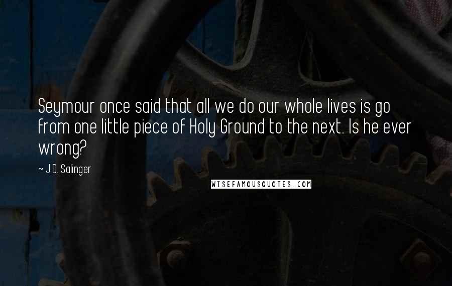 J.D. Salinger Quotes: Seymour once said that all we do our whole lives is go from one little piece of Holy Ground to the next. Is he ever wrong?