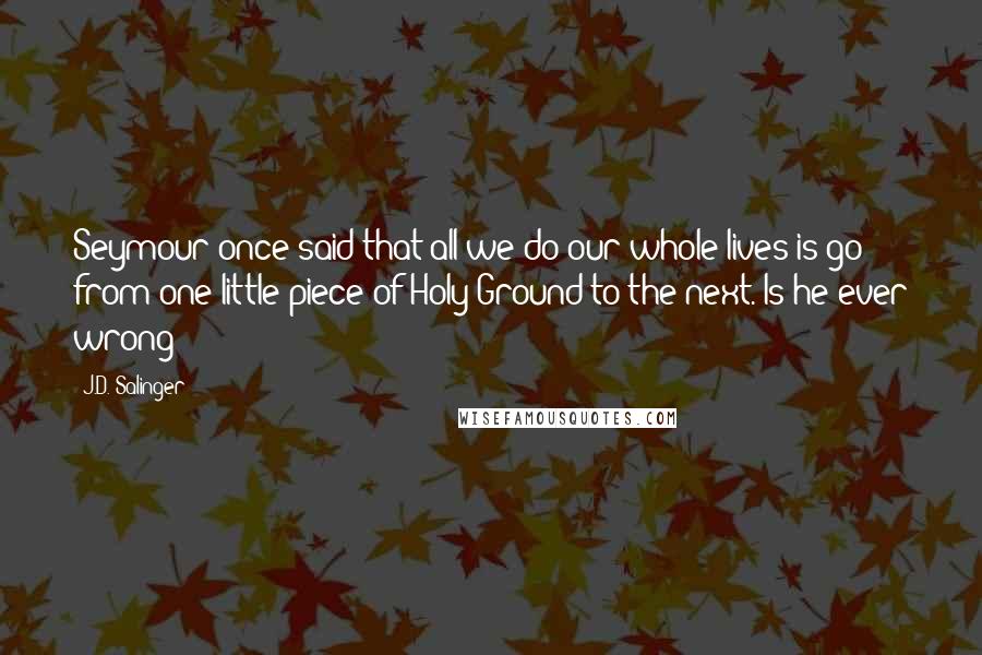 J.D. Salinger Quotes: Seymour once said that all we do our whole lives is go from one little piece of Holy Ground to the next. Is he ever wrong?