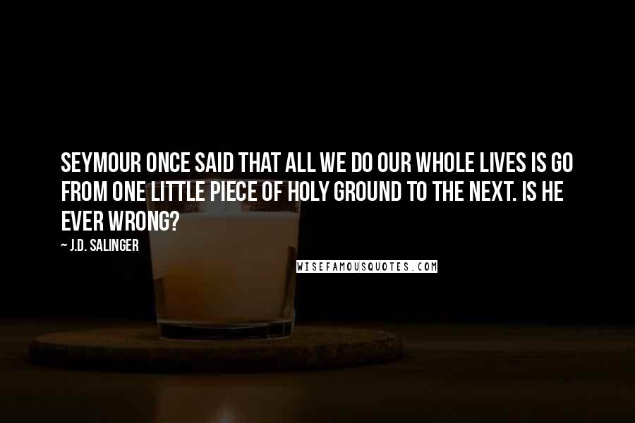 J.D. Salinger Quotes: Seymour once said that all we do our whole lives is go from one little piece of Holy Ground to the next. Is he ever wrong?