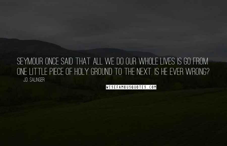 J.D. Salinger Quotes: Seymour once said that all we do our whole lives is go from one little piece of Holy Ground to the next. Is he ever wrong?