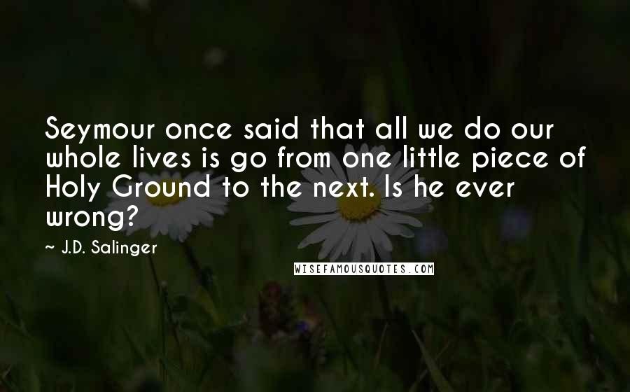 J.D. Salinger Quotes: Seymour once said that all we do our whole lives is go from one little piece of Holy Ground to the next. Is he ever wrong?