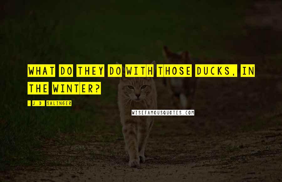 J.D. Salinger Quotes: What do they do with those ducks, in the winter?