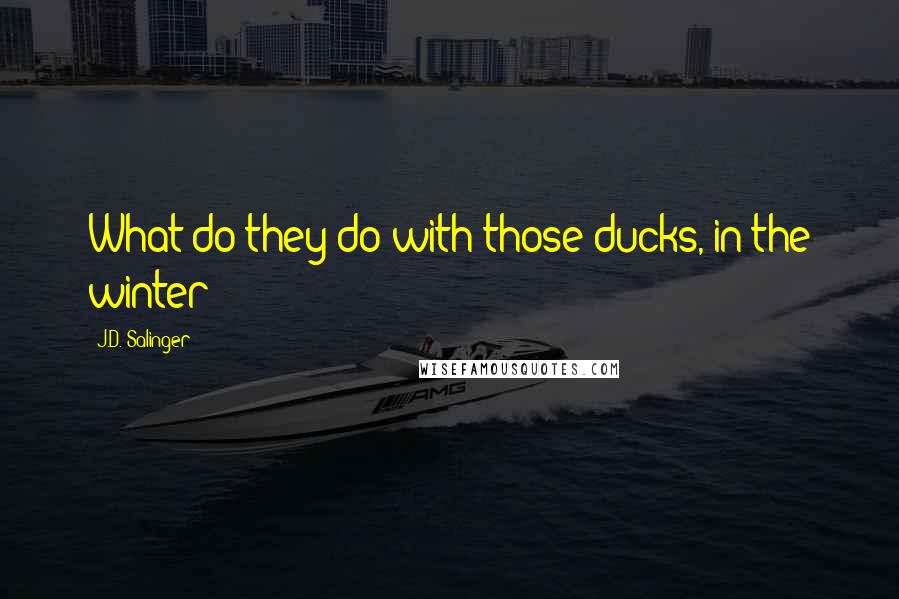 J.D. Salinger Quotes: What do they do with those ducks, in the winter?