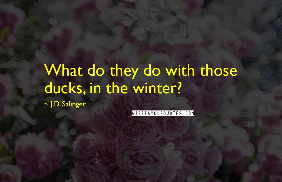 J.D. Salinger Quotes: What do they do with those ducks, in the winter?