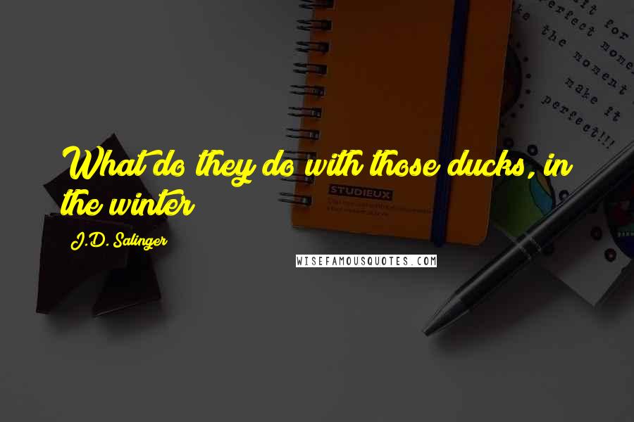 J.D. Salinger Quotes: What do they do with those ducks, in the winter?